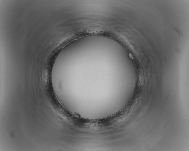 X0000111470211200907271319