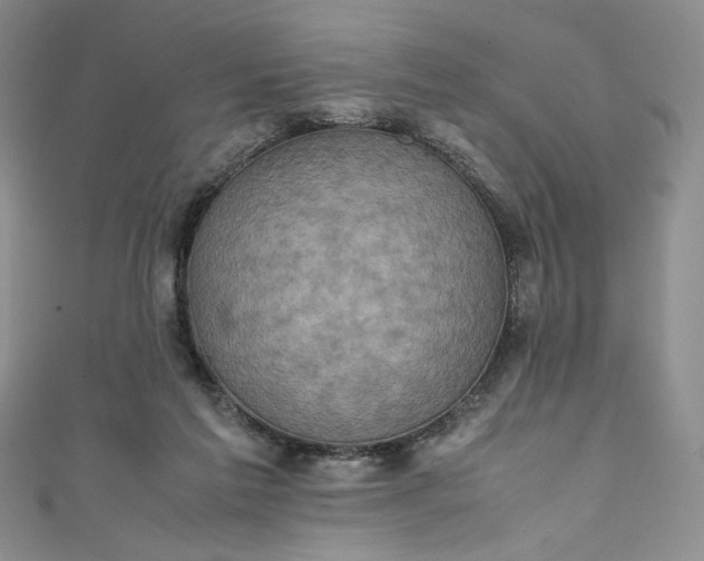 X0000111470213200907271319