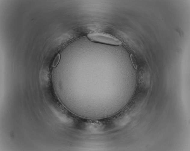 X0000111470215200907271318