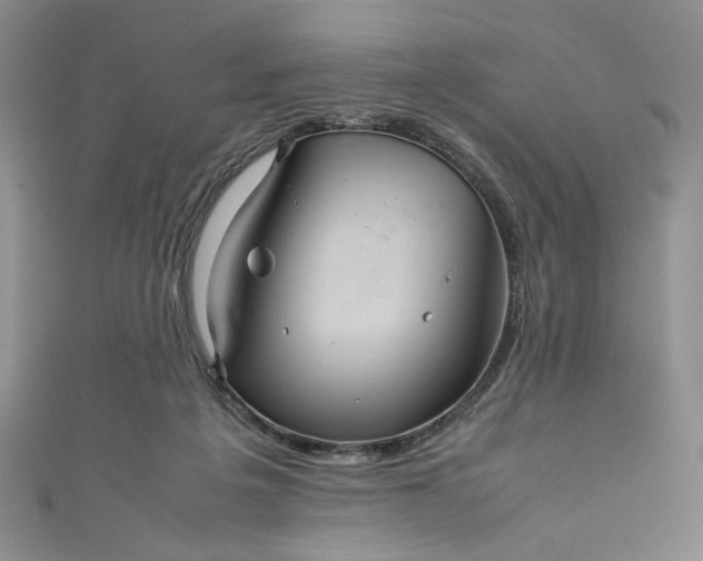 X0000111470217200907271318