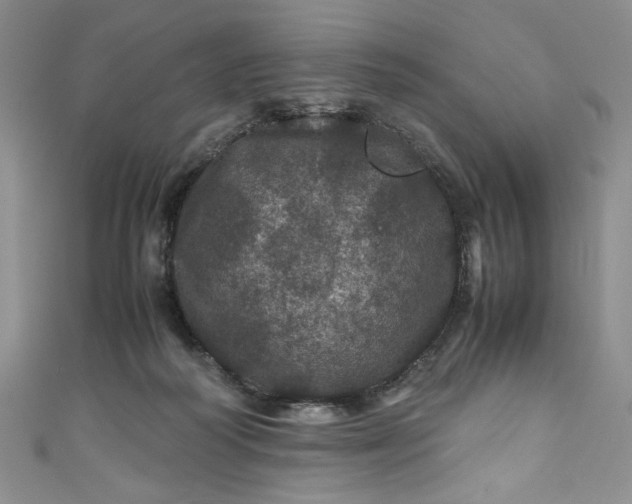 X0000111470218200907271318