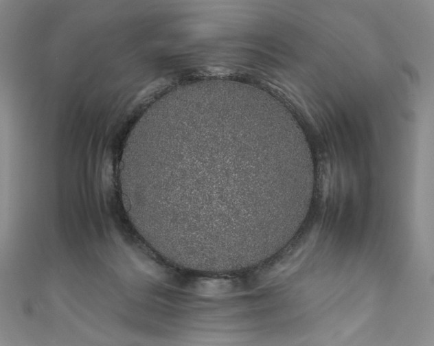 X0000111470220200907271318