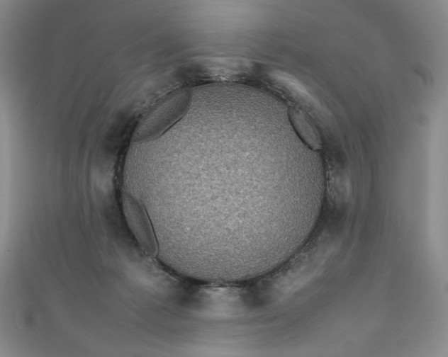 X0000111470221200907271318