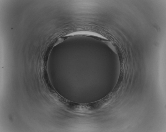 X0000111470223200907271318