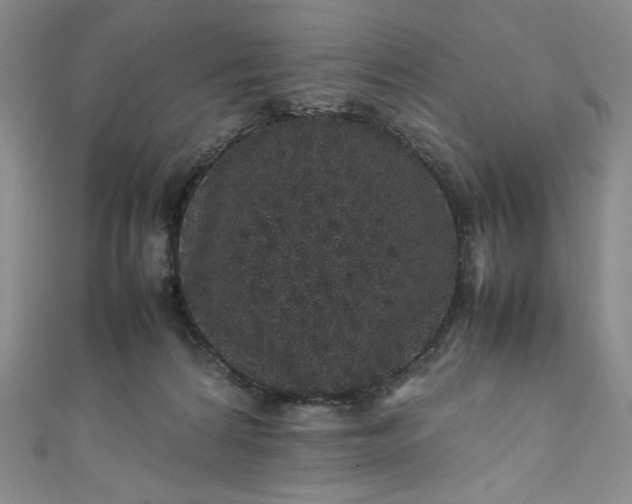 X0000111470224200907271318