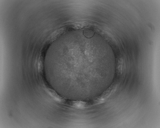 X0000111470226200907271318