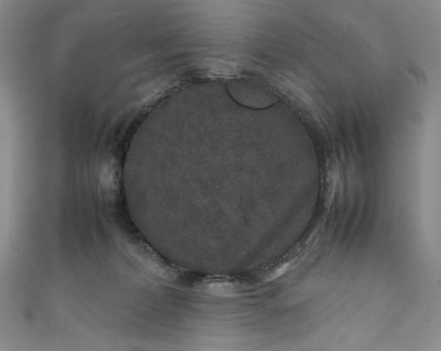 X0000111470228200907271318