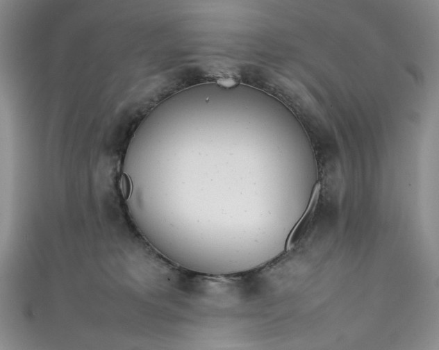 X0000111470229200907271318