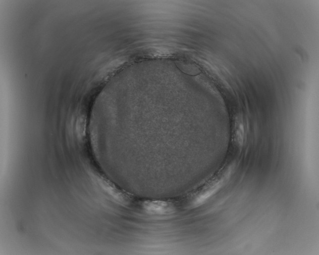 X0000111470230200907271318