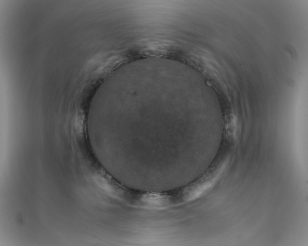 X0000111470231200907271318