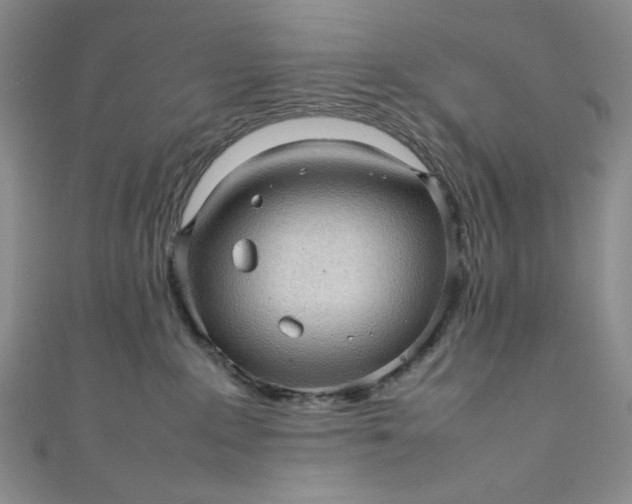 X0000111470235200907271318