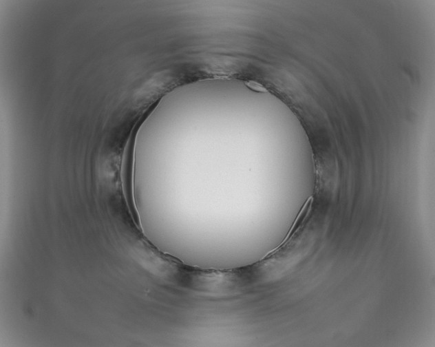 X0000111470237200907271318