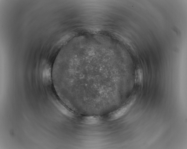 X0000111470238200907271318