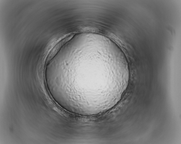 X0000111470241200907271317