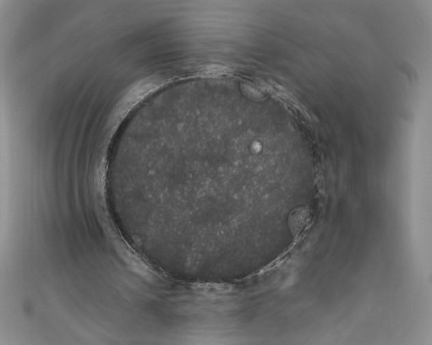 X0000111470242200907271317