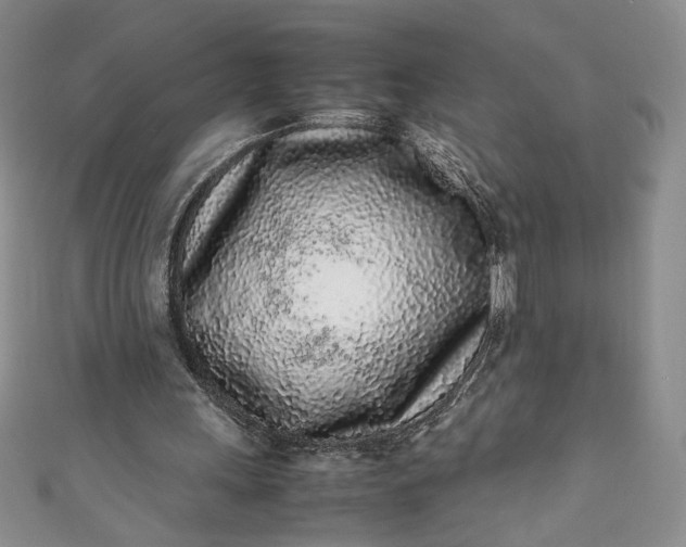 X0000111470243200907271317