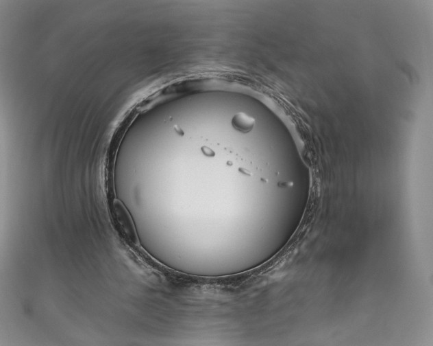 X0000111470244200907271317