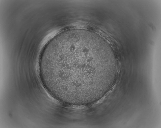 X0000111470245200907271317