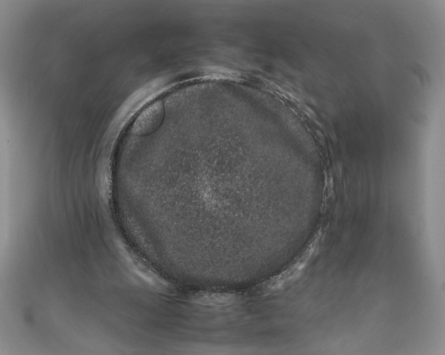 X0000111470247200907271317