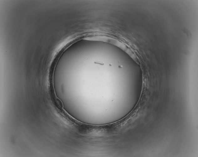 X0000111470248200907271317