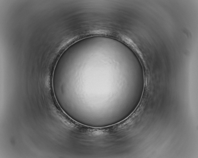 X0000111470249200907271317