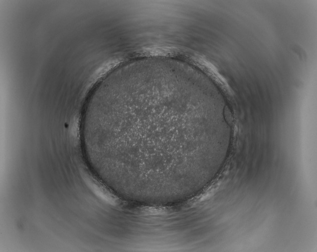 X0000111470250200907271317