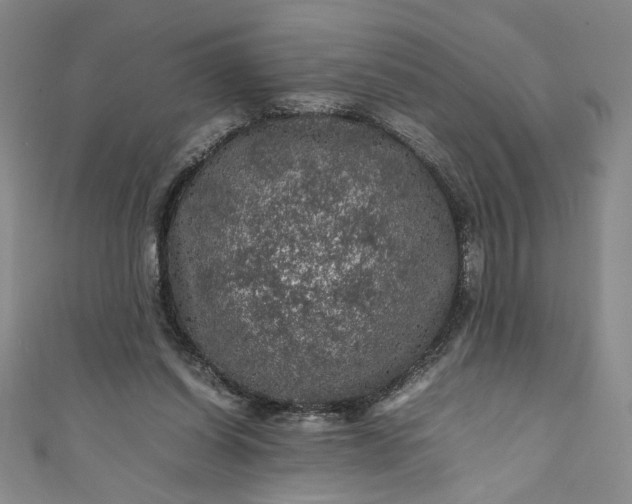 X0000111470254200907271318