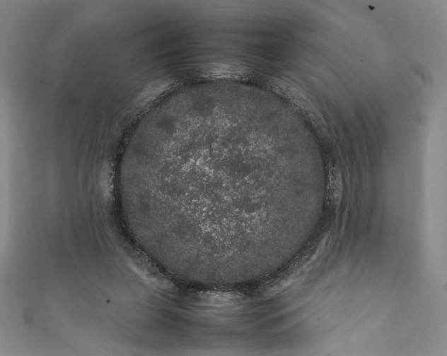 X0000111470255200907271318