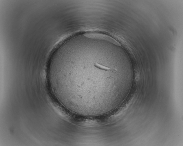 X0000111470256200907271318