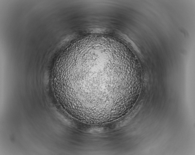 X0000111470257200907271318