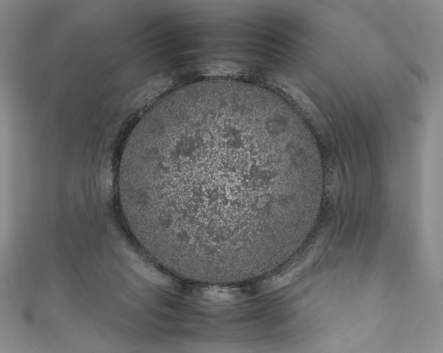 X0000111470261200907271318