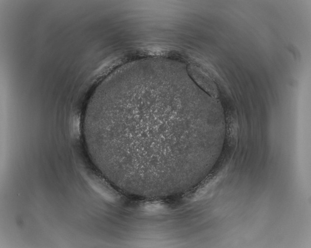 X0000111470262200907271318