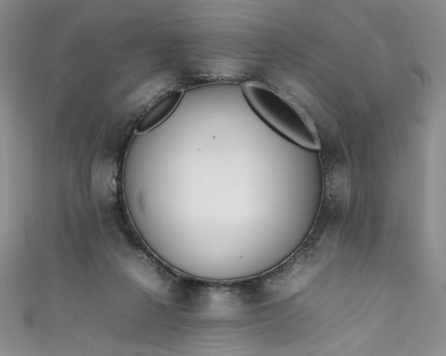 X0000111470264200907271318