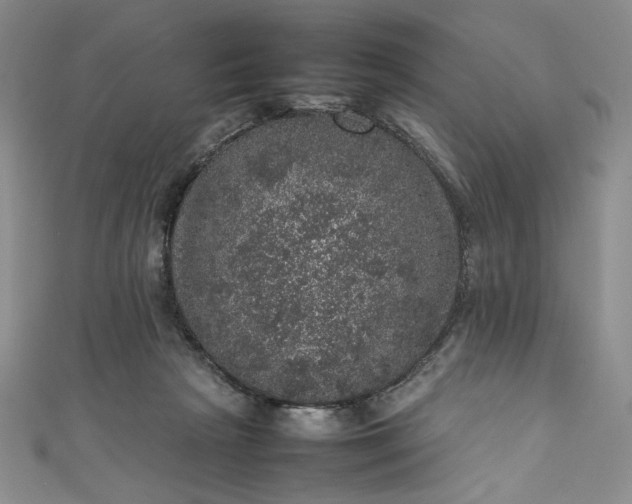 X0000111470265200907271318