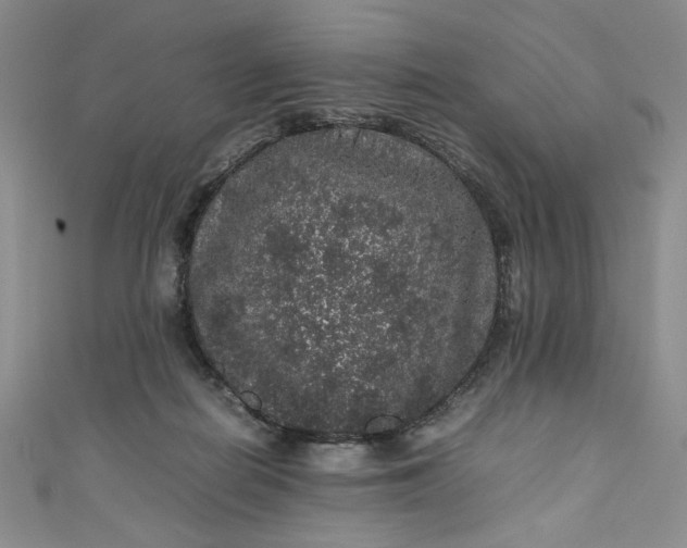 X0000111470266200907271318