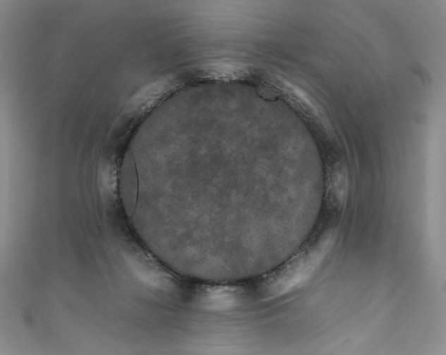 X0000111470268200907271318