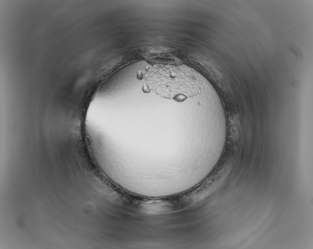 X0000111470269200907271318