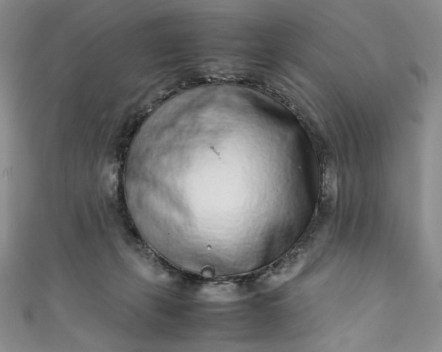 X0000111470271200907271318