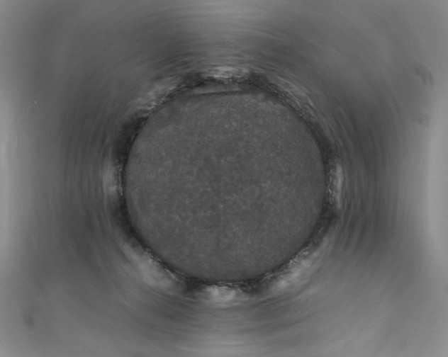 X0000111470272200907271318