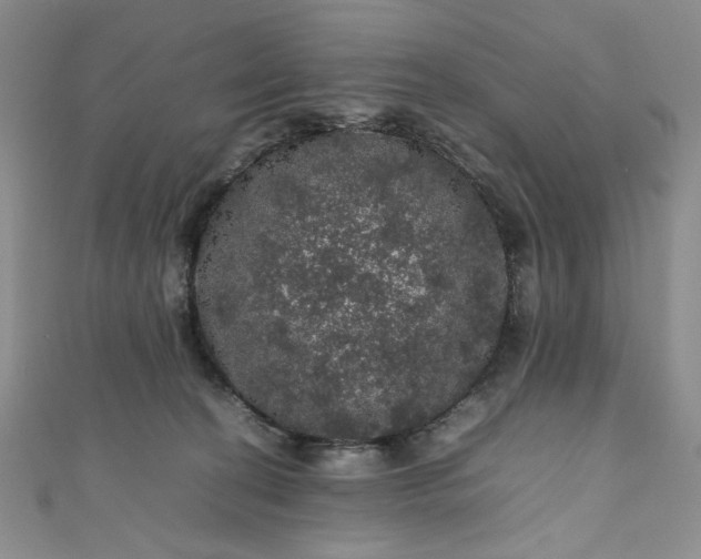 X0000111470274200907271318