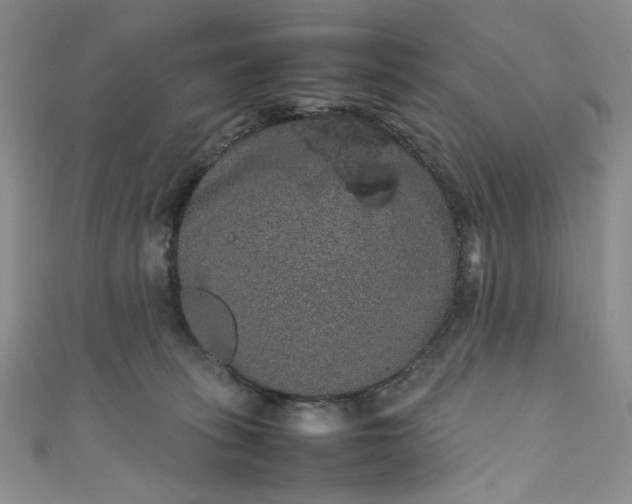 X0000111470275200907271318