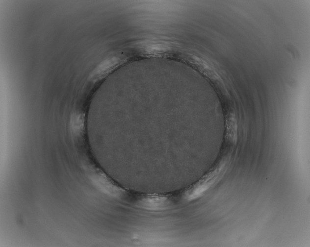 X0000111470278200907271318