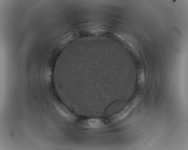 X0000111470279200907271318