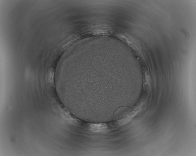 X0000111470281200907271318