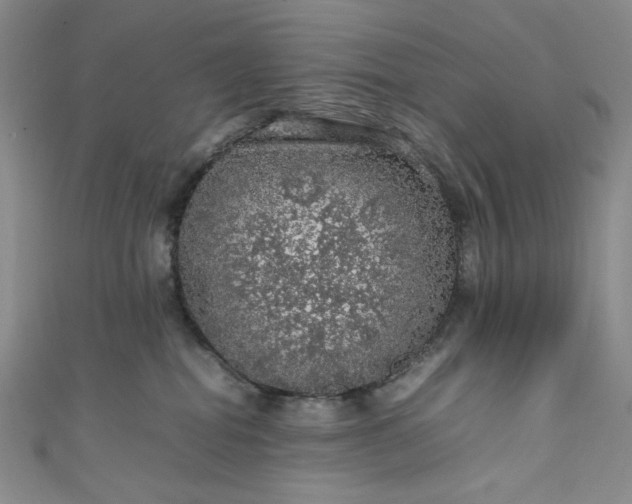 X0000111470282200907271318