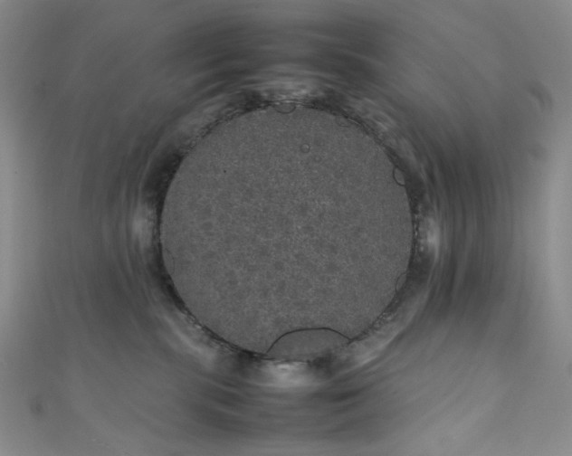 X0000111470283200907271318