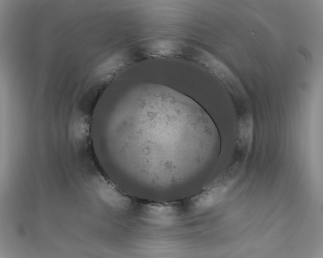 X0000111470284200907271318