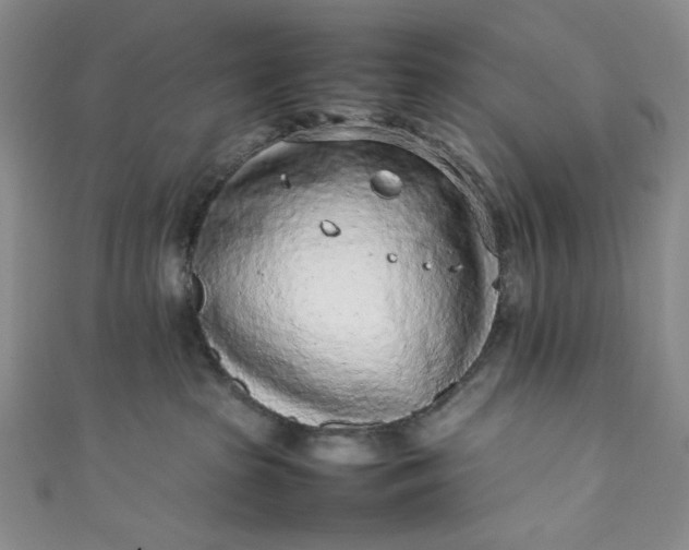 X0000111470285200907271318