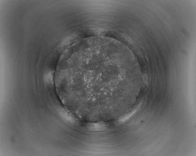 X0000111470286200907271318