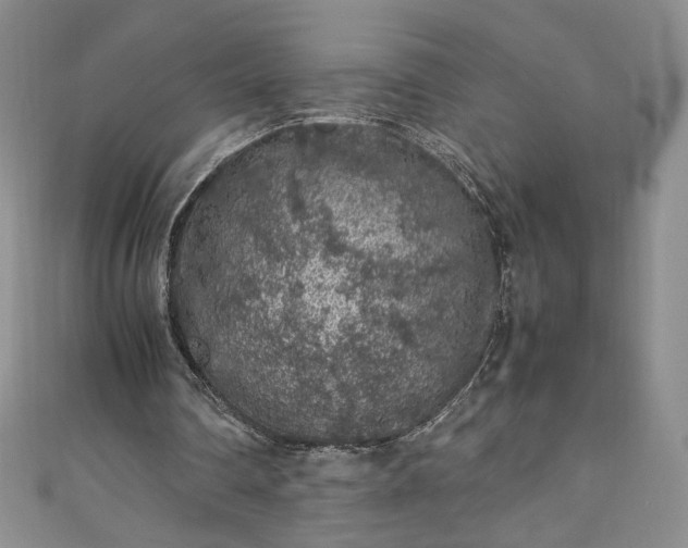 X0000111470290200907271317